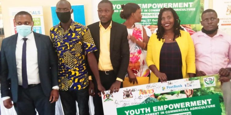 Youth Advised to Join Commercial Agriculture