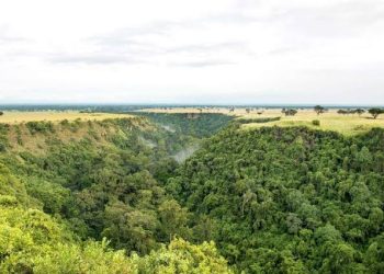 Conservationists Object to Proposed Hydro Power Project on River Kyambura