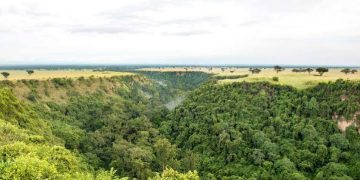 Conservationists Object to Proposed Hydro Power Project on River Kyambura