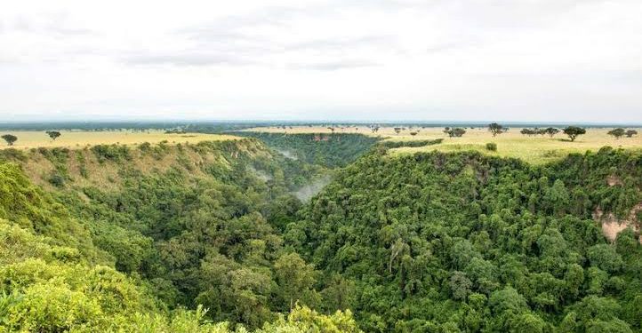 Conservationists Object to Proposed Hydro Power Project on River Kyambura