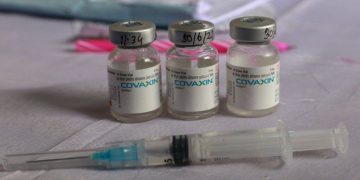 Covaxin: WHO Approves India Covid-19 Vaccine for Emergency use