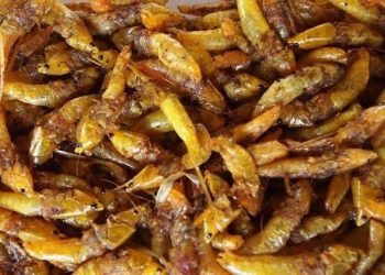 Uganda Airlines: We are Considering Adding ‘Nsenene’ to our Menu