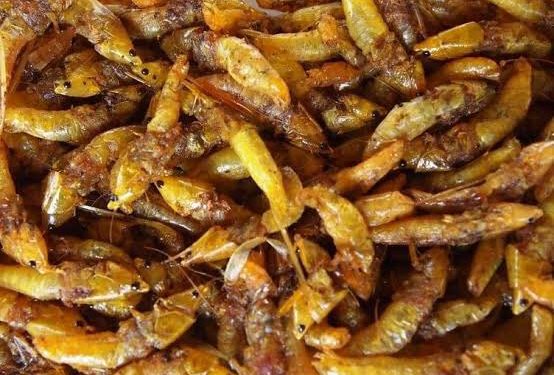 Uganda Airlines: We are Considering Adding ‘Nsenene’ to our Menu