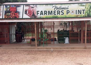 Kira Farmers to Hold Exhibition on Saturday