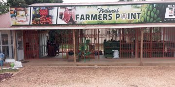 Kira Farmers to Hold Exhibition on Saturday