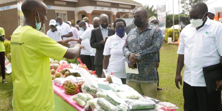 Agriculture Minister Hails Sasakawa for Transforming Rural Farmers