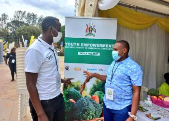 Gov’t Urged to Support Youth in Urban Farming