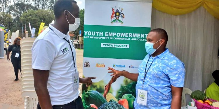 Gov’t Urged to Support Youth in Urban Farming