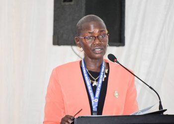 84.4% of courts lack prosecutors – DPP