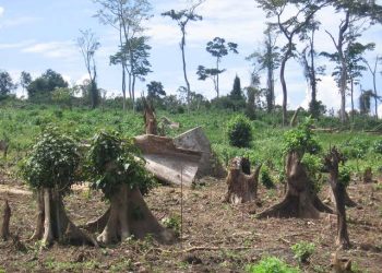 Why Subsistence Farming is a Big Threat to Biodiversity