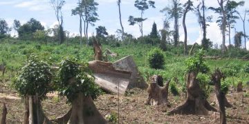 Why Subsistence Farming is a Big Threat to Biodiversity