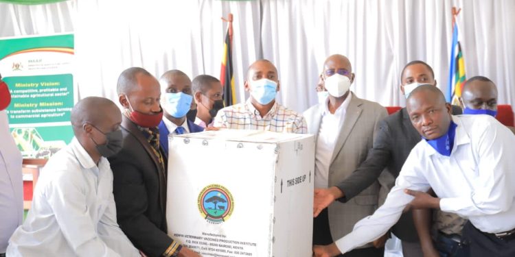 FMD: Tumwebaze Seeks Heavy Penalties for Unauthorized Movement of Livestock