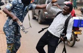 Protesters Drop Yellow Pig At Parliament