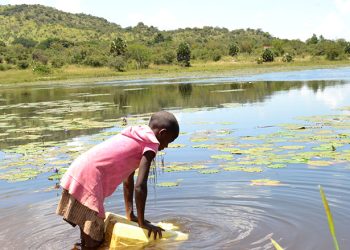 Zimbabwe MPs in Uganda to Pick Lessons On Climate Change Legislation