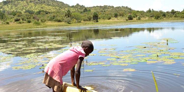 Zimbabwe MPs in Uganda to Pick Lessons On Climate Change Legislation