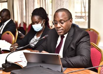 Deputy Solicitor General Guides MPs on Merger of Electricity Companies