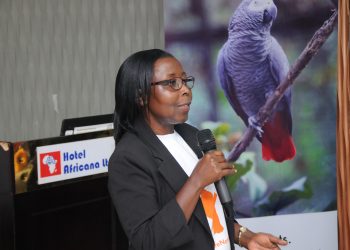 Cities Need to End Wildlife Trade to Protect Animals, Urges World Animal Protection