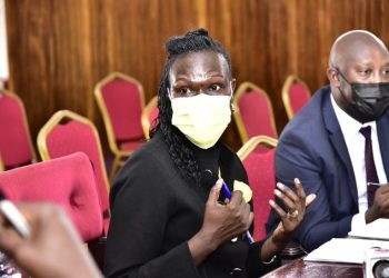 Gov’t to Create New Power Firm, Kick Out Middlemen Umeme – Anite