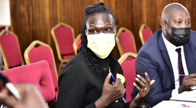 Gov’t to Create New Power Firm, Kick Out Middlemen Umeme – Anite