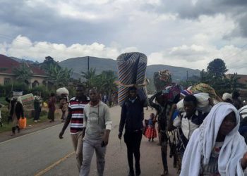 M23 Intensify Fight Against DR Congo Govt, Refugees Flee to Uganda