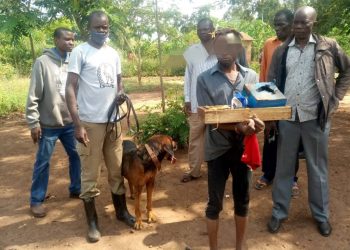 Police Canine Unit Arrests 5, Recovers Stolen Property