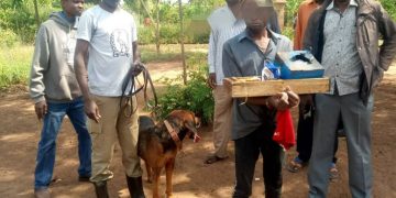 Police Canine Unit Arrests 5, Recovers Stolen Property