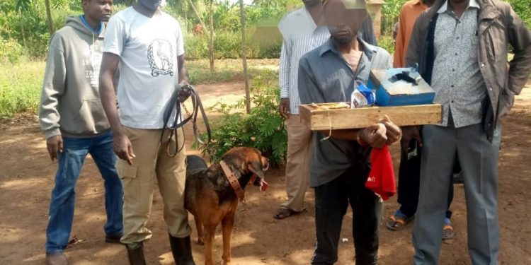 Police Canine Unit Arrests 5, Recovers Stolen Property