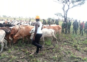 Gen Muhoozi Lashes at Karamoja Politicians, Speaks on Re-arming Arrow Boys