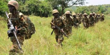 Operation Shujaa: Locals Laud UPDF, FARDC for Tremendous Reduction in ADF Atrocities