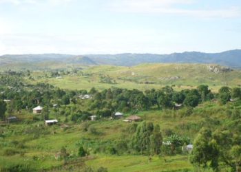 DR Congo Army Kills 7 ADF Rebels in North Kivu