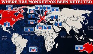 Monkeypox Breaks Out in Europe, North America
