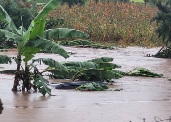 Five People Killed in Mbale floods, Seven Rescued -Police