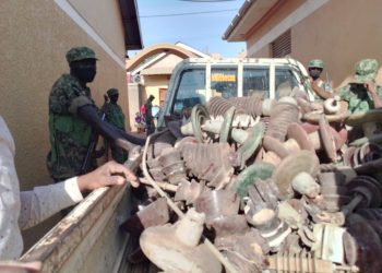 Indian Businessman Among 19 Arrested for Vandalizing Electricity Infrastructure  