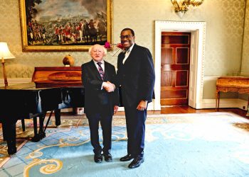 Invest More in Africa, AfDB President Adesina tells Irish Investors