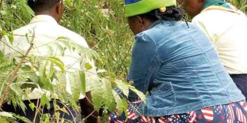 Iganga Man Sells Waragi and Petrol to Women as ‘Labia Pulling Oil’