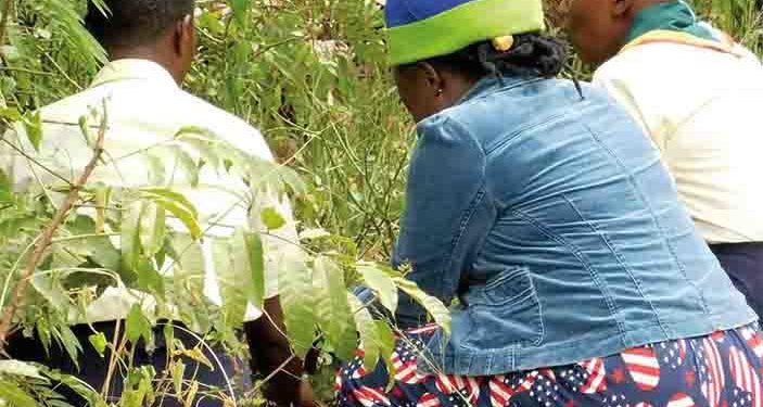 Iganga Man Sells Waragi and Petrol to Women as ‘Labia Pulling Oil’