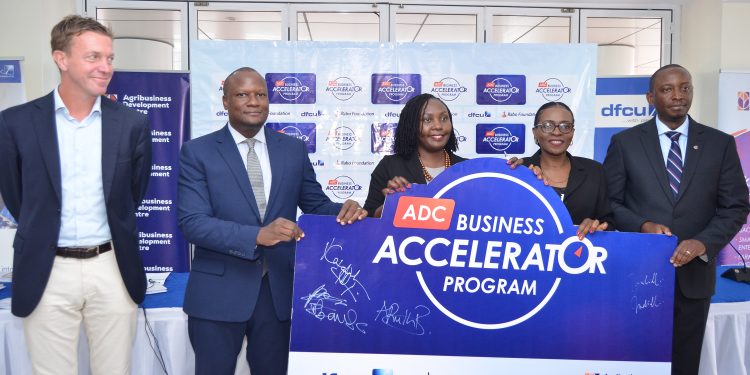 New Business Accelerator Program Targeting over 350 Agribusinesses Launched