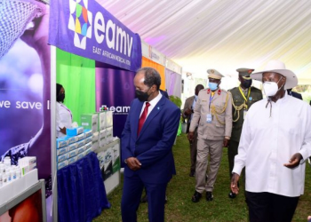 Security Assurances Will Bolster Uganda-Somalia Trade, says PSFU Chairman Elly Karuhanga