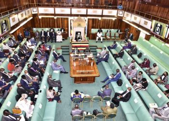 Parliament Passes Museums and Monuments Bill