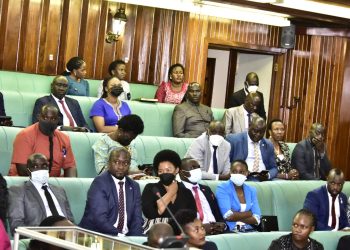 MPs Demand Audit of National Forestry Authority over Vanishing Cover