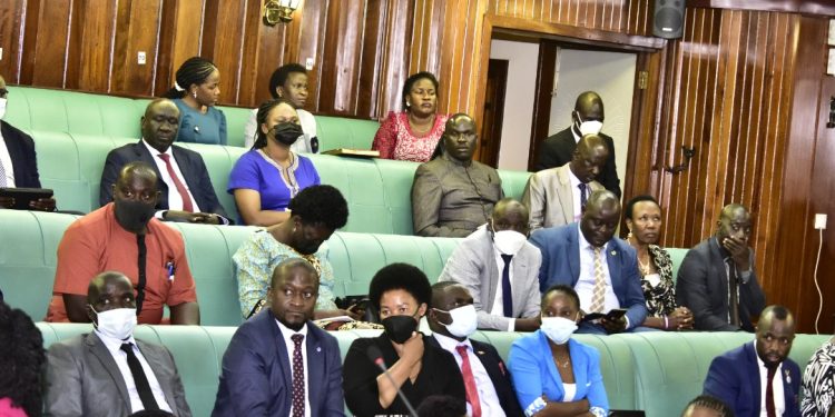 MPs Demand Audit of National Forestry Authority over Vanishing Cover