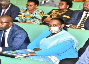 House Allows Pensioners Midterm Access to Savings