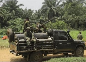 ADF Rebels Kill 14 Civilians in DR Congo’s Ituri Province