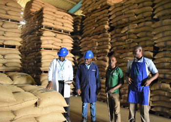 Uganda Coffee Exports for September Fetch USD 71.2m