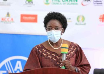 Experts Discuss Food Security at Kampala Climate Change Symposium & Expo