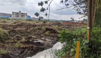 NEMA Suspends Construction Works in Nakivubo Wetland