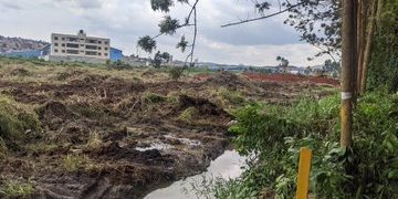 NEMA Suspends Construction Works in Nakivubo Wetland