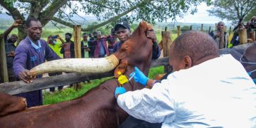 Minister Tumwebaze Unveils Anti-tick Vaccine to Farmers in Mbarara