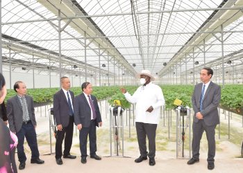 We Must Stop Producing Raw Materials for Europe, Museveni tells Vietnam