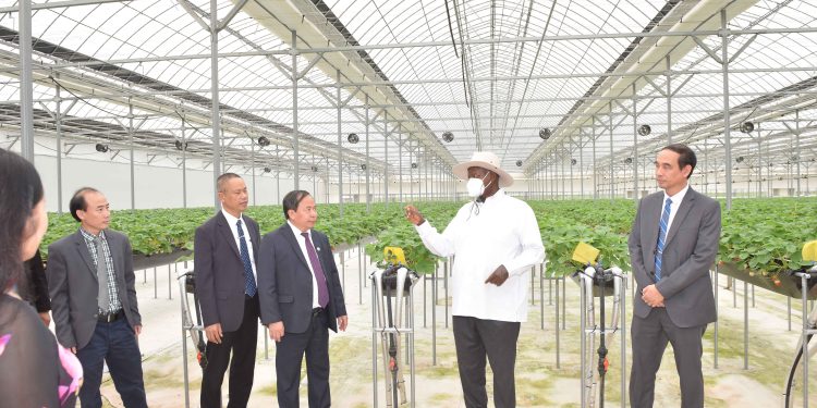 We Must Stop Producing Raw Materials for Europe, Museveni tells Vietnam